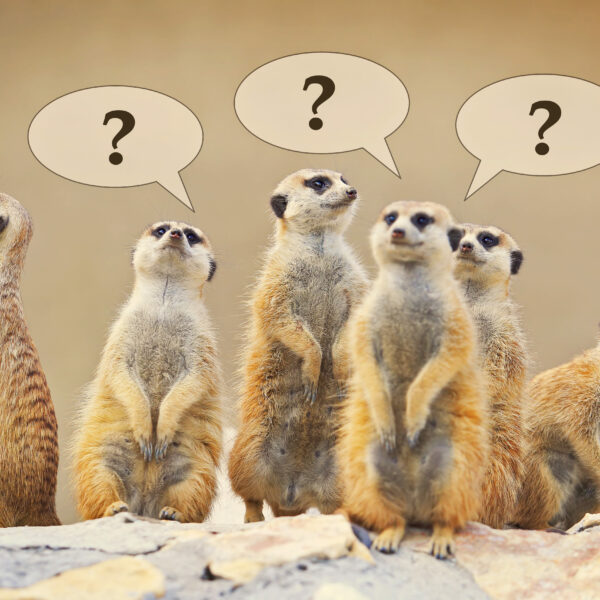 Animali esotici, domande frequenti